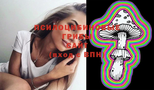 твердый Нея