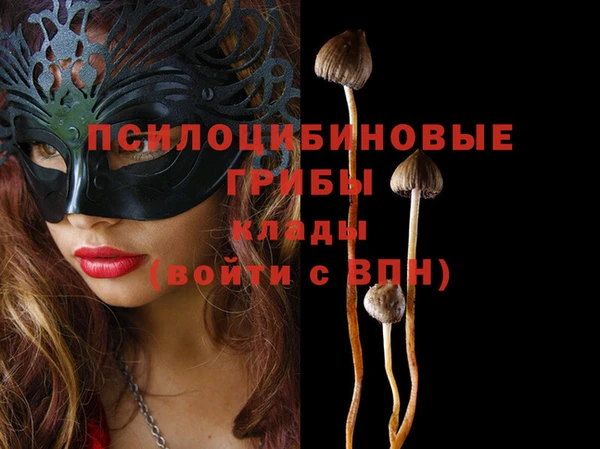 PSILOCYBIN Нефтекумск