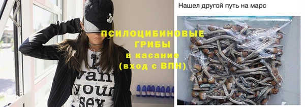 apvp Навашино