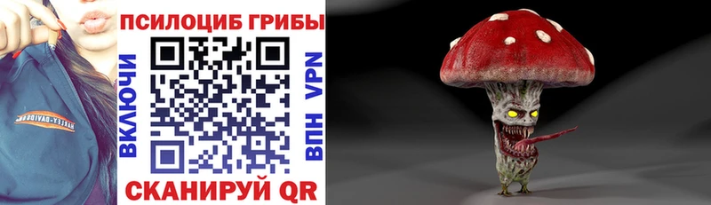 Псилоцибиновые грибы мухоморы  Купить где  Безенчук 